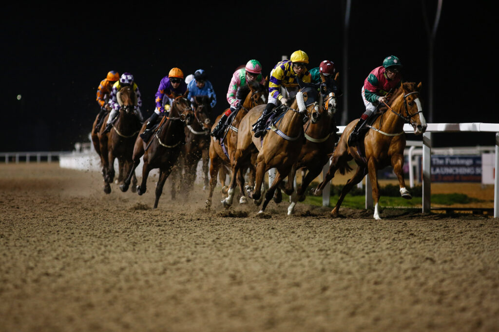 Horse Racing | Chelmsford City Racecourse