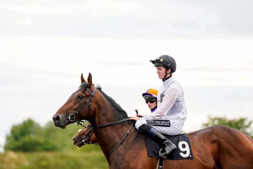 Jockey Sitting On A Horse