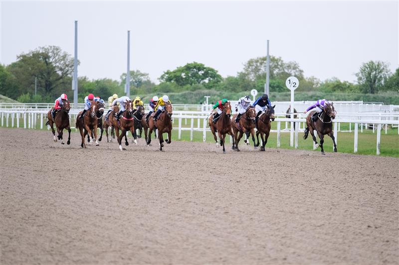 chelmer fillies stakes
