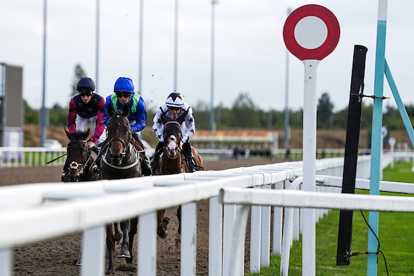 chelmsford city racecourse